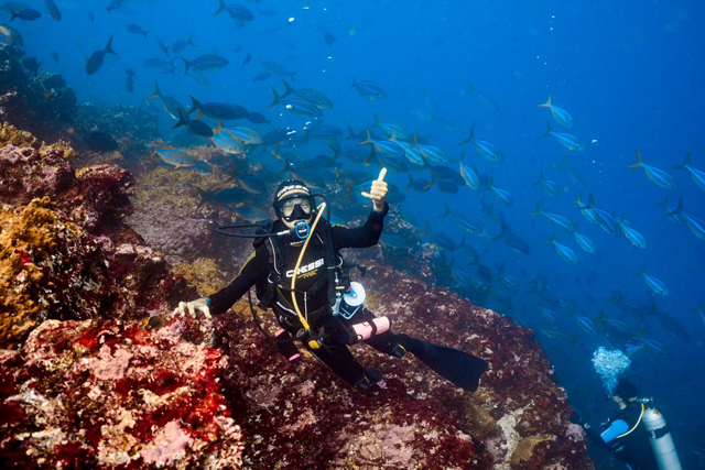 Nuku Dive